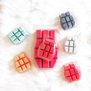 Become a Scentsy Consultant today! Kits $0-$99